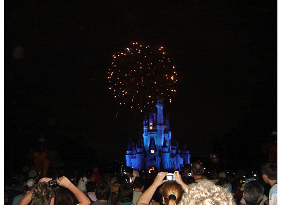 magic kingdom castle. Magic Kingdom Fireworks